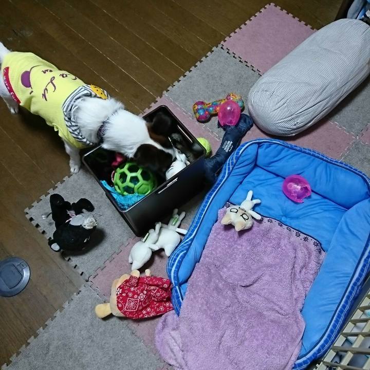 43a9ab1f 565c 46d1 8e57 d92714b891ef