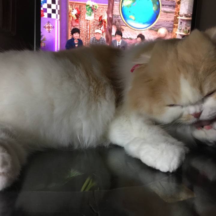 43a9b30a ec06 4e3f a576 7cea09019d47