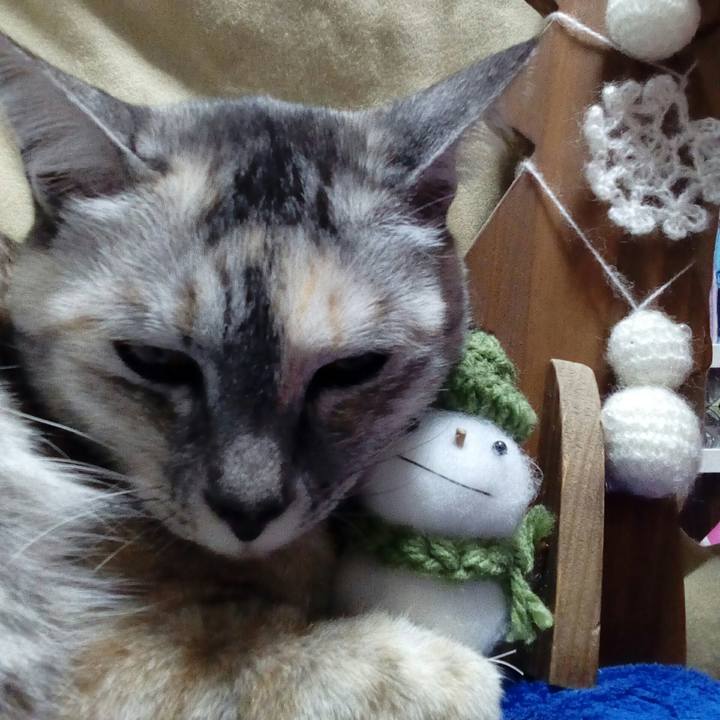 43aa4e12 098c 4aa2 8d41 69ead535bcf6