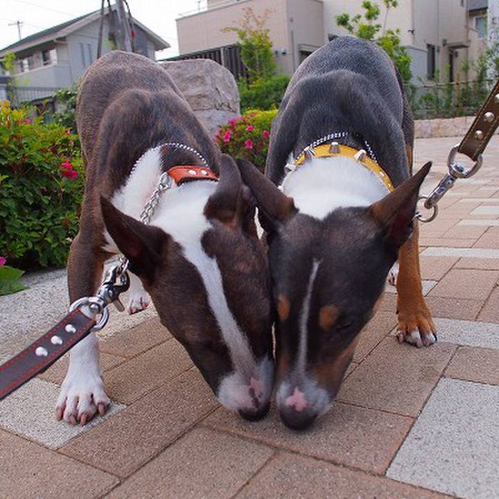 43ab0456 54d5 4214 97a1 2dfea855d2de