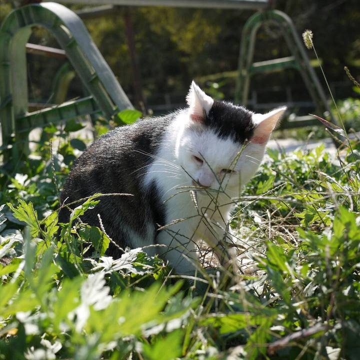 43ab4ce1 f68f 4f7a 8918 5e6676dffebc