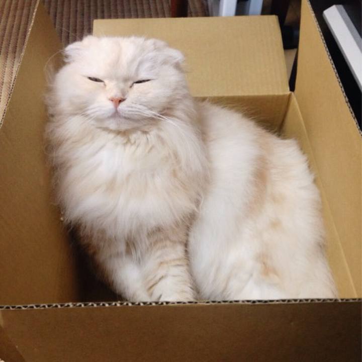 43ac091c ff75 45f8 9f13 16f207ced3bc