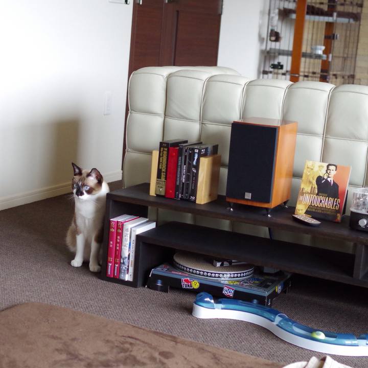 43ac3911 0e83 4698 b48a 0b0a732a5f0d