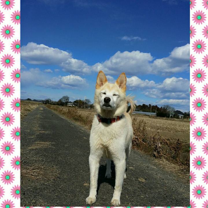 43ac8c6f 79d1 461e bf50 5ef00a90b9dc