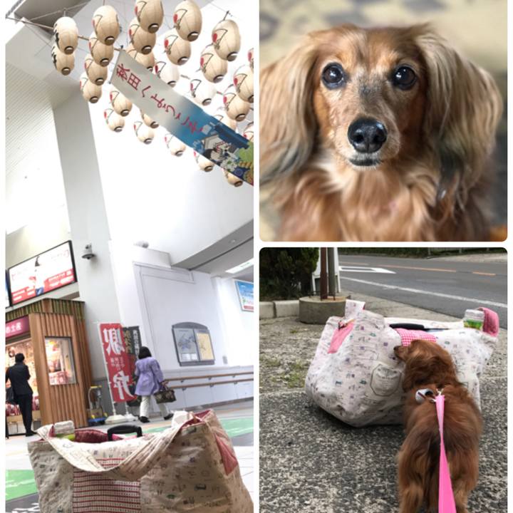 43ad23d6 616d 4044 924f 2ca429d75c9d