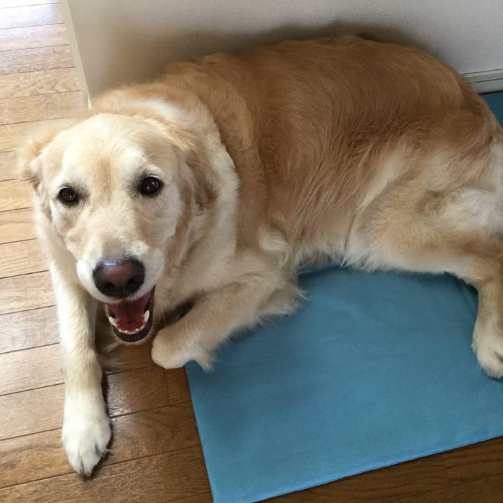 43ad6b77 3d42 498f bb87 dcf7bd11df51