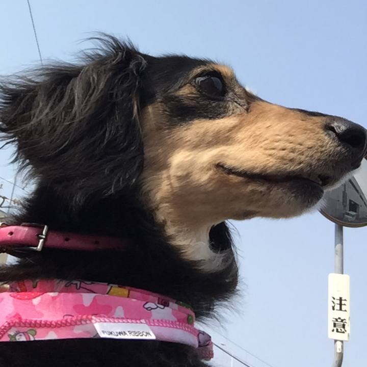 43ad795d af7b 41ac 9607 63c7c74e8286