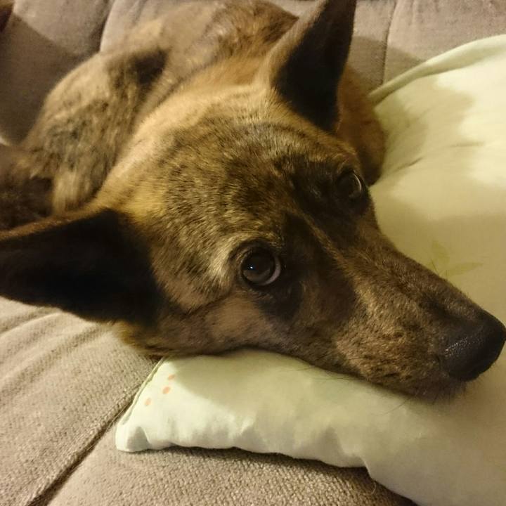 43ae3a59 aa84 4350 82ec 1d92c9d7a3b0