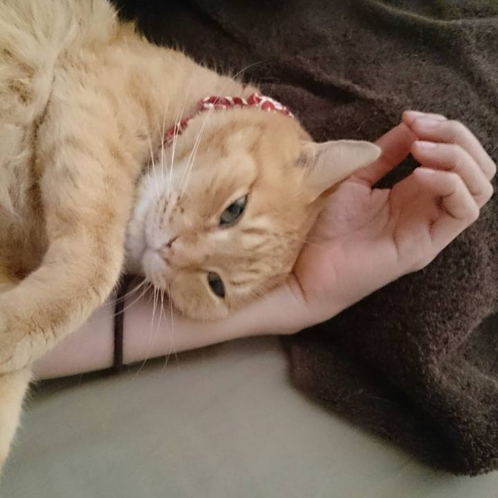 43aeb328 3f41 449f 80ad 5dc4a854cdaf