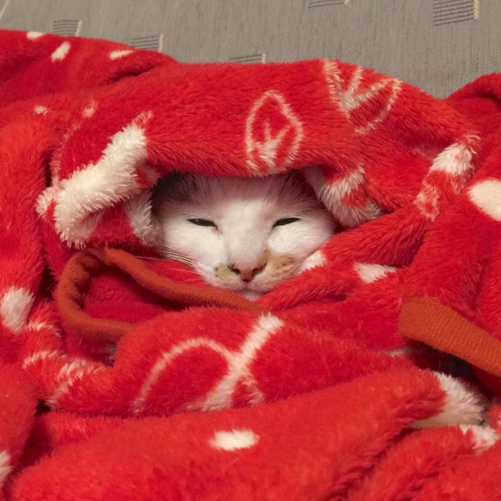 43af986c bf88 461f afbe 1a1217e30ab4