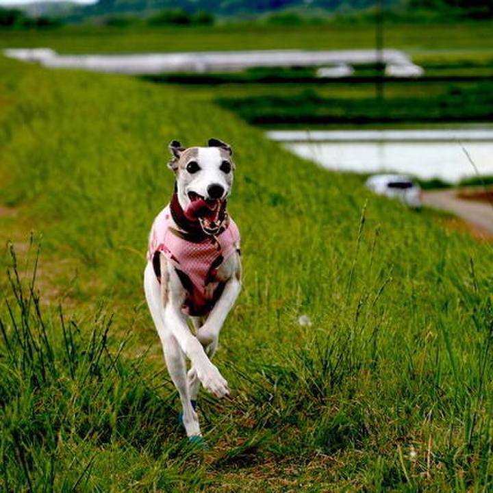 43aff804 4539 4cb6 9ec7 4c360a06de85