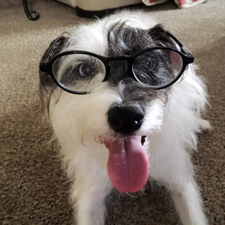 43b09fd0 2200 4b55 9bb9 2ecd748ee80f