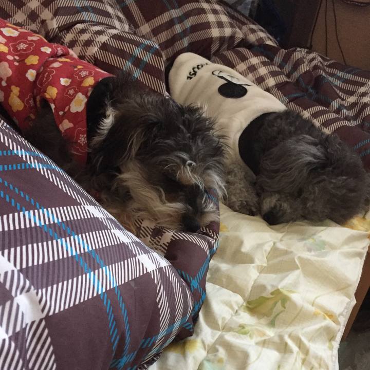 43b0f5e4 e920 4e65 a4ca 8c8c28d70766