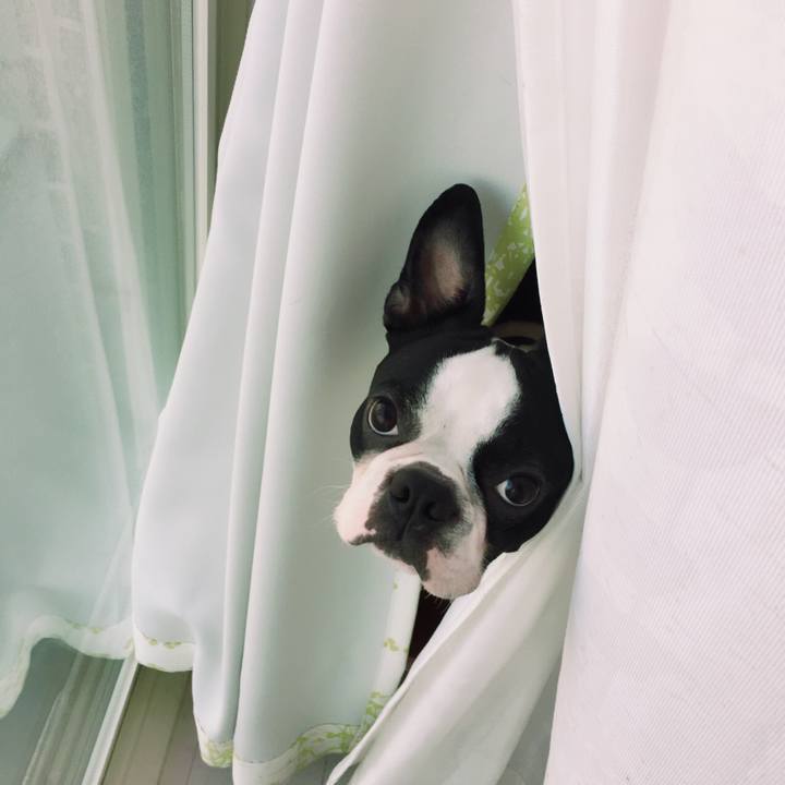 43b13c3e e392 4070 8f16 7f7570d23959