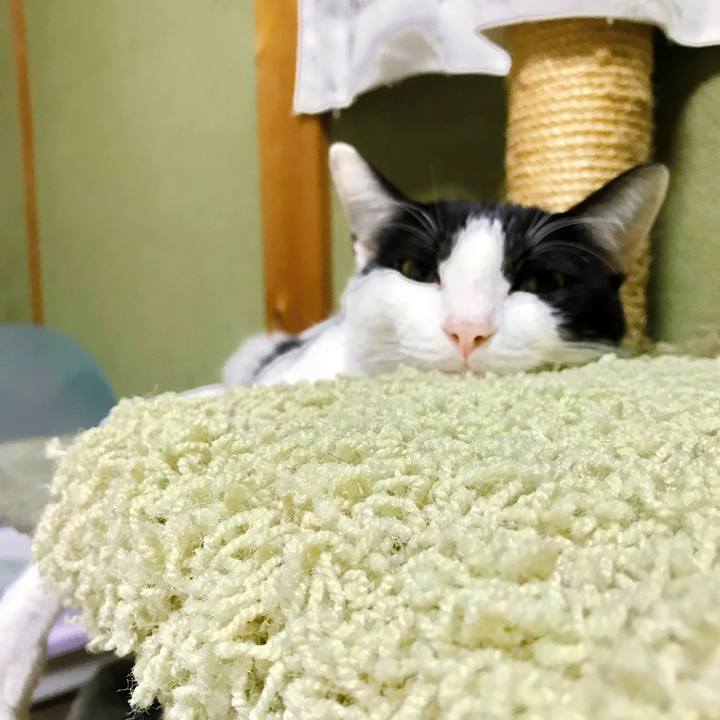 43b1820e a0b9 4a66 aada 096ac6b9784d