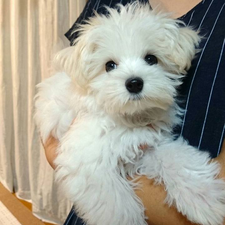 43b1ffd8 dcfa 4333 badc b0f418be3e58