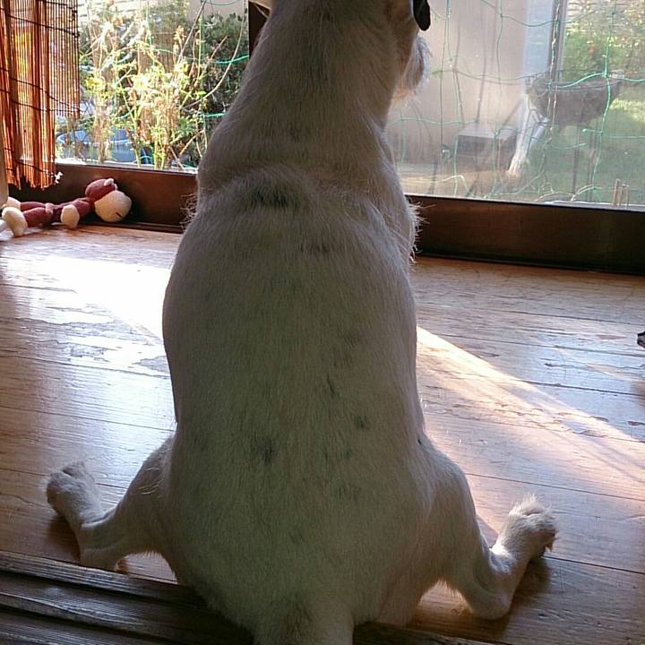 43b20321 bef9 433c ac8e b3b673eefded