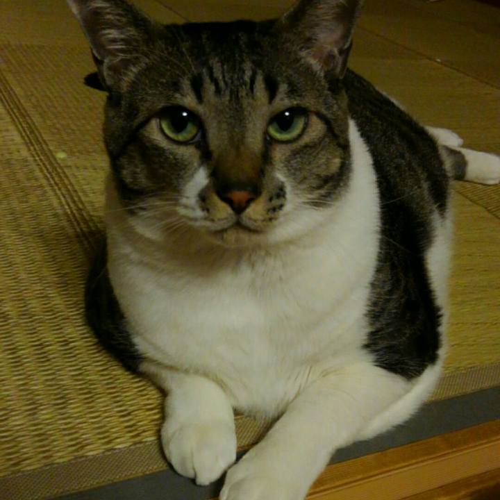 43b23f5c fe26 458b aefc f7a65f25b866