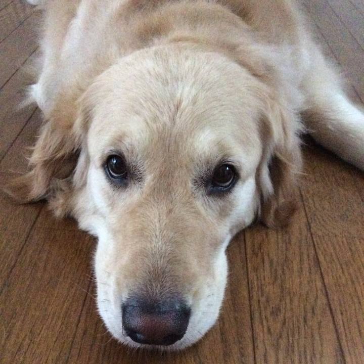 43b29d10 2f41 404a b01d 9d9d4c09fb36