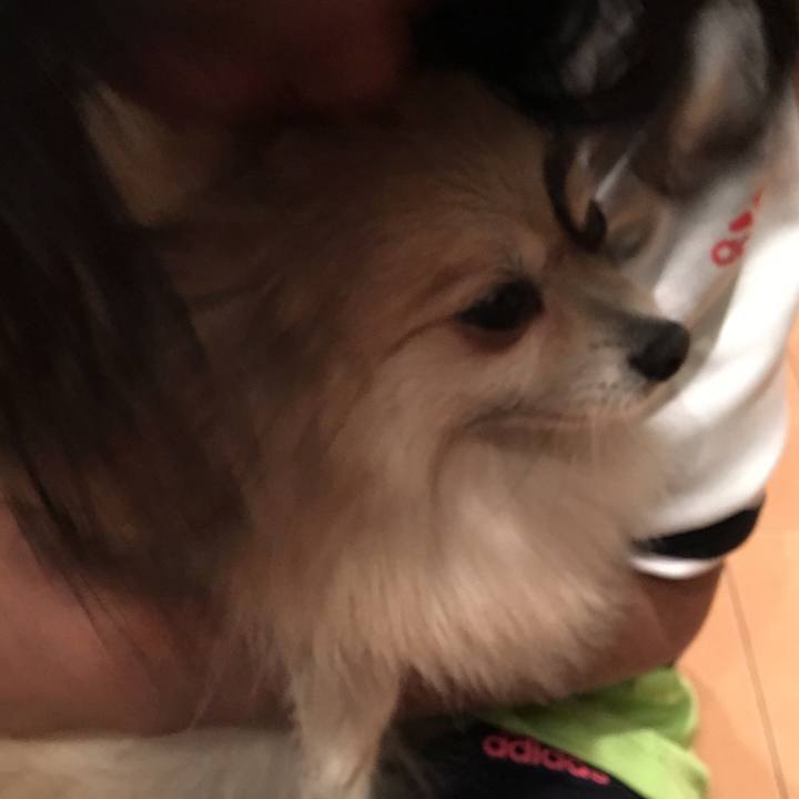 43b2d28e a16b 4a0e 9bc7 a2bd3482cb28