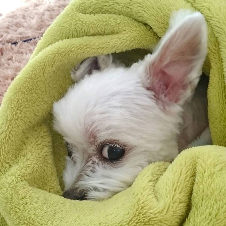 43b3601a 15ee 4b6b 8269 5e0cf7387f3b