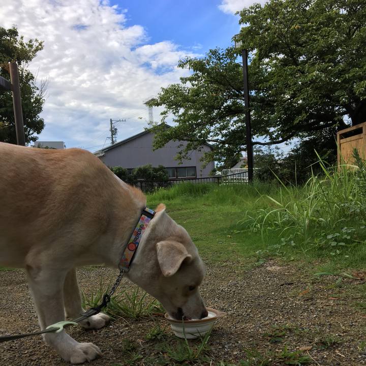 43b3e021 fb90 4bcc ad90 4a6f6c7ec235