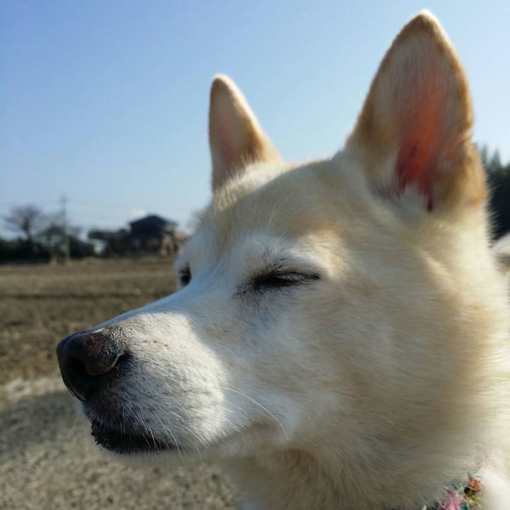 43b4a809 6e99 4082 bd0f 5bab417e92e4