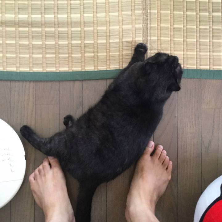 43b4b85a 6c03 468b aa0c 13289b690363