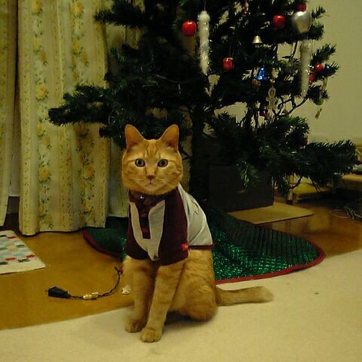 43b4bcda 16ec 4f27 917a 0958cc2aa50f