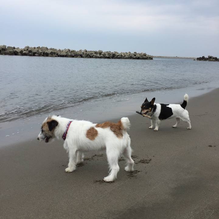 43b50c9b 0445 41ec 9c36 48d1948ddcfc