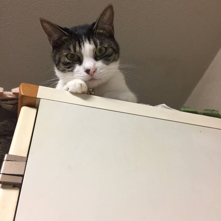 43b57d3c c33a 4a92 bec0 1fc1e01bae04