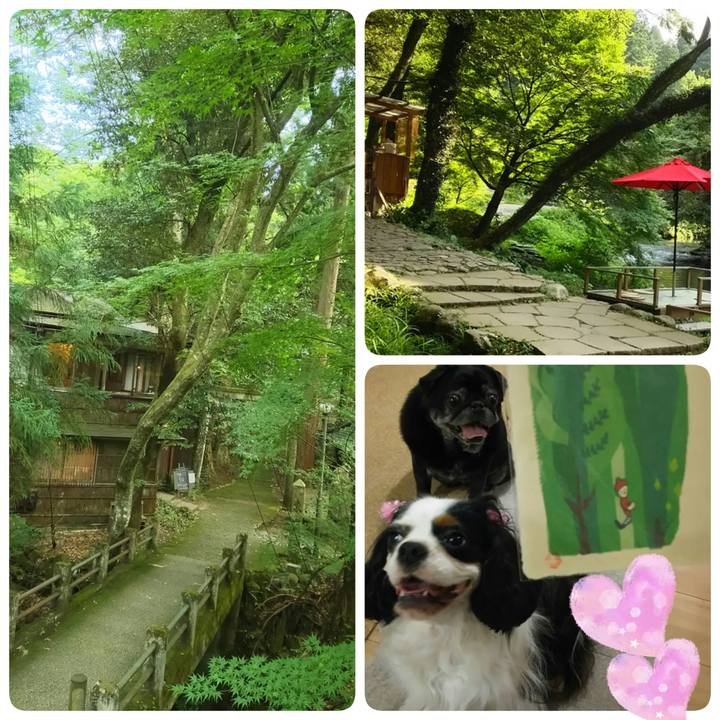 43b5cb81 4f7b 4057 ba98 b36564b8cf53