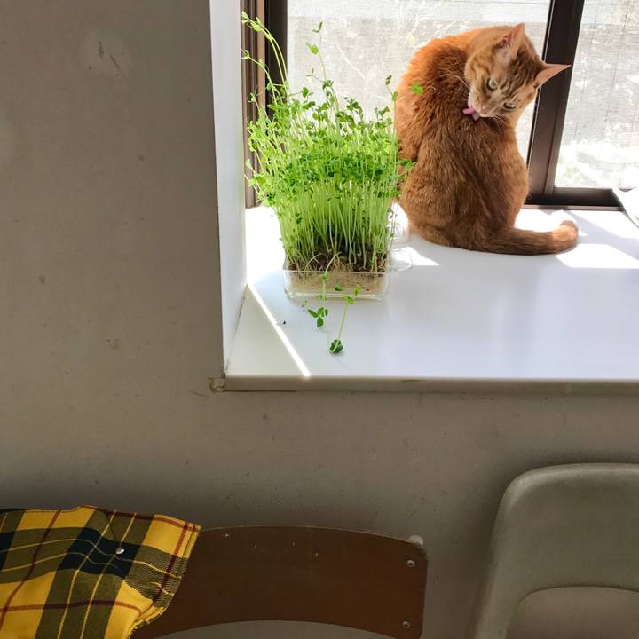 43b5d38f 4080 4459 9ae7 bf0619223a40