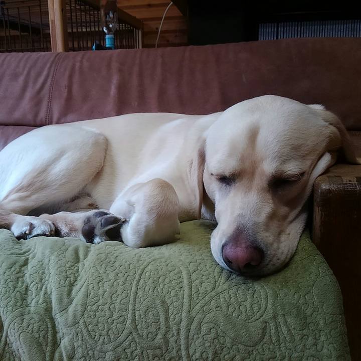 43b5ec3b bc91 4b24 93b0 f91175da63aa