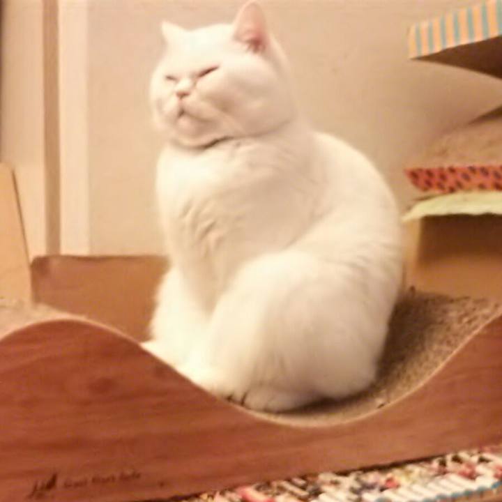 43b60cd2 c915 4ce4 b30c dcf21fede3cf