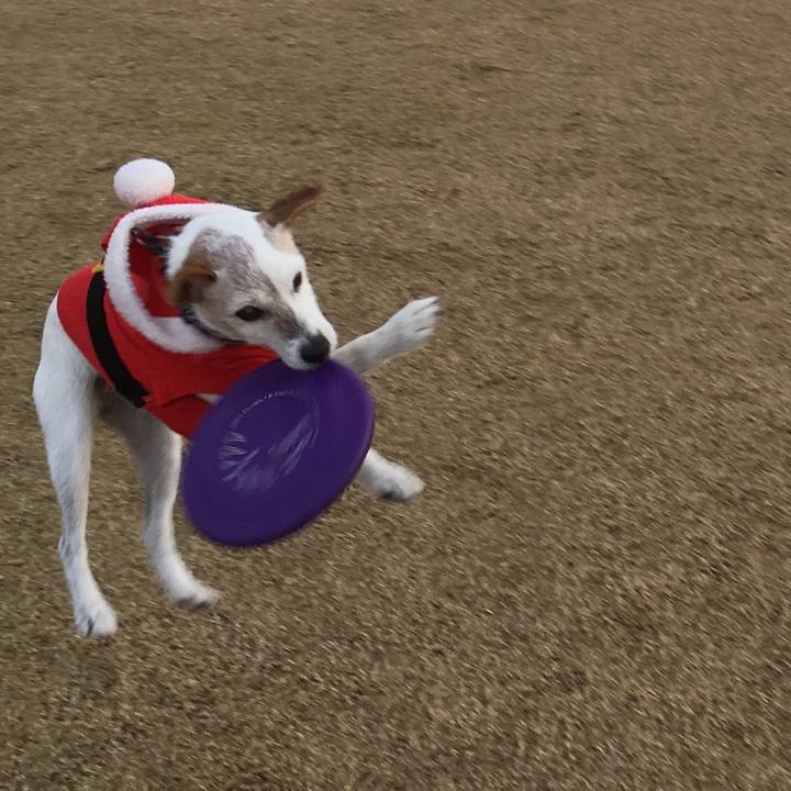 43b62a2d be95 4fbf a8e5 2198b32a2e51