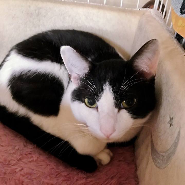 43b7b000 1df6 48b6 b309 cec0fb771bc1