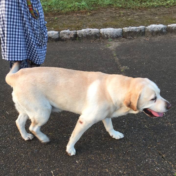 43b7dced e222 4550 b34f 865b7c8109a8