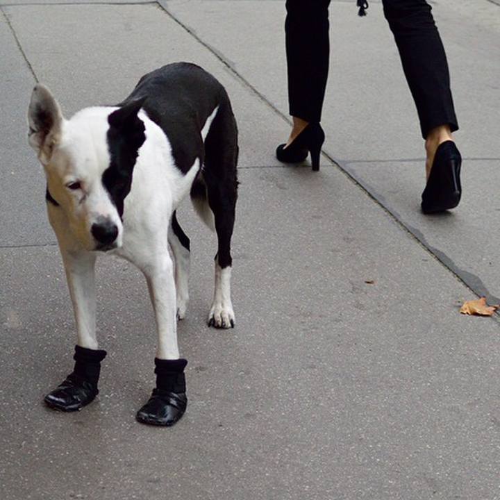 43b7ddbf 6992 46f8 85f1 3206659359a2