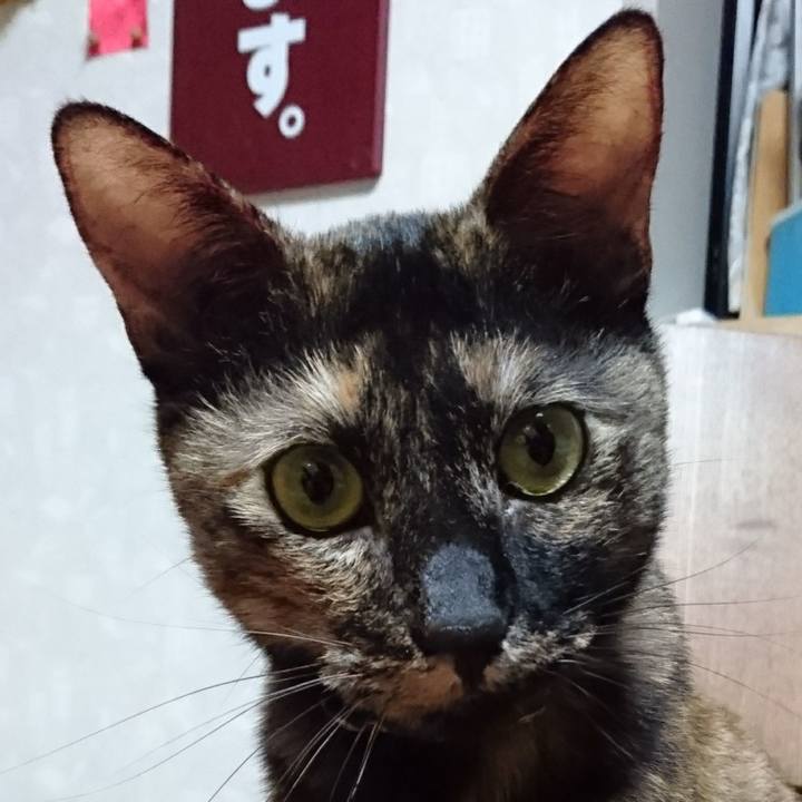 43b7e983 ea7e 4b56 a4db bb104864d9d6