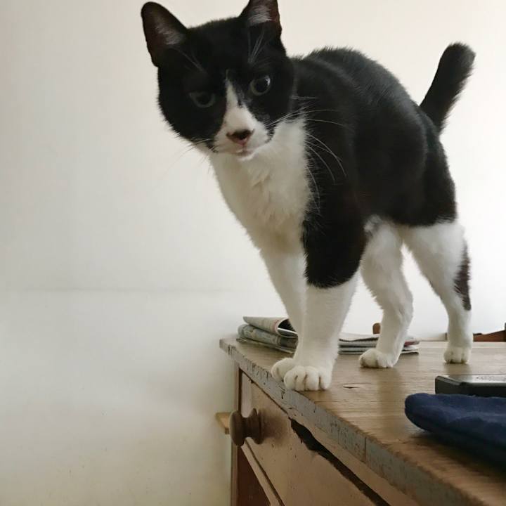 43b9c8ad d82a 4185 9005 cd611eecf898