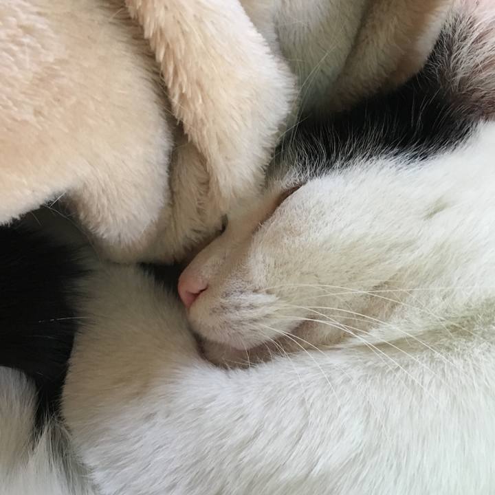 43bb61fc b95b 41d3 931f 8747ebb495e7