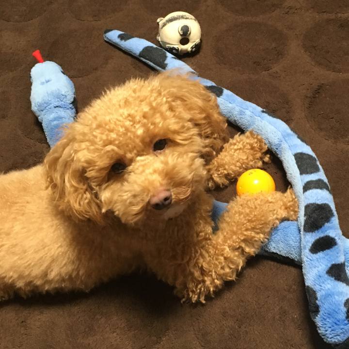 43bb63d8 3ef1 403e 9bc0 64fdcbec3c65