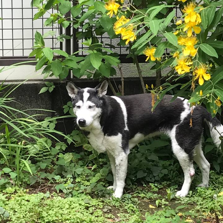 43bb6698 f1e6 408b 802a c7e65d1e5160