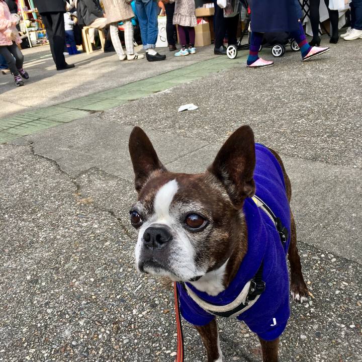 43bb6e9d 5362 4e36 bb80 5bf5064008fa