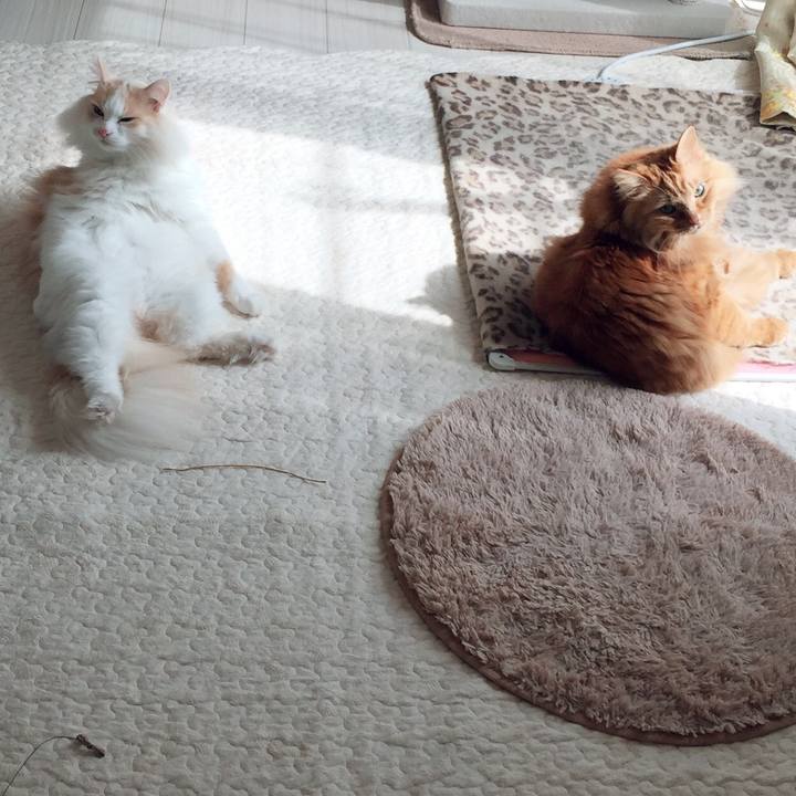 43bbd3bf 9dab 49e8 a43d 6ae4a6788682