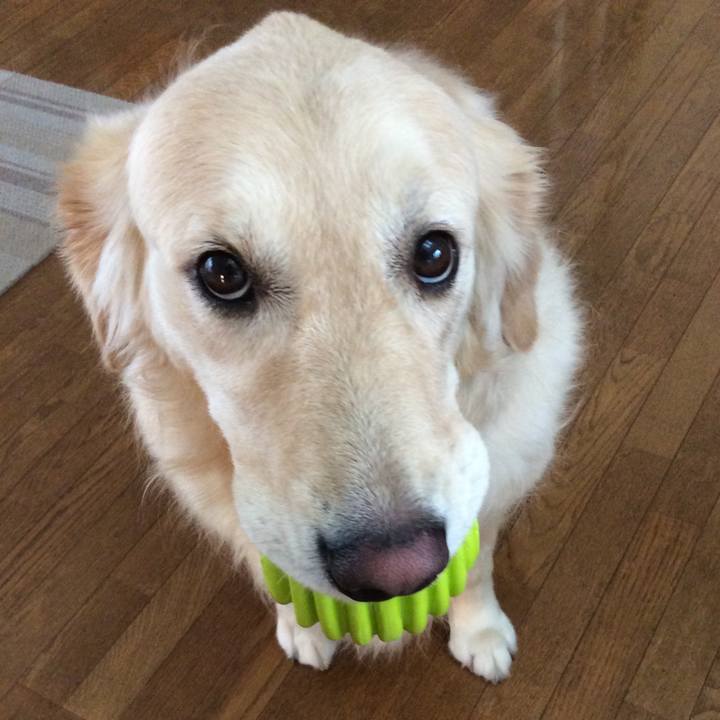 43bbf581 01d4 441f 9ddb 3a618fd5b7c0