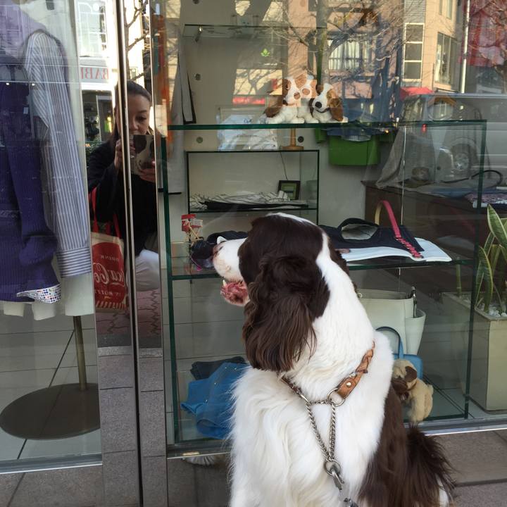 43bc148a 3bbe 4b98 9840 3e9996b92137