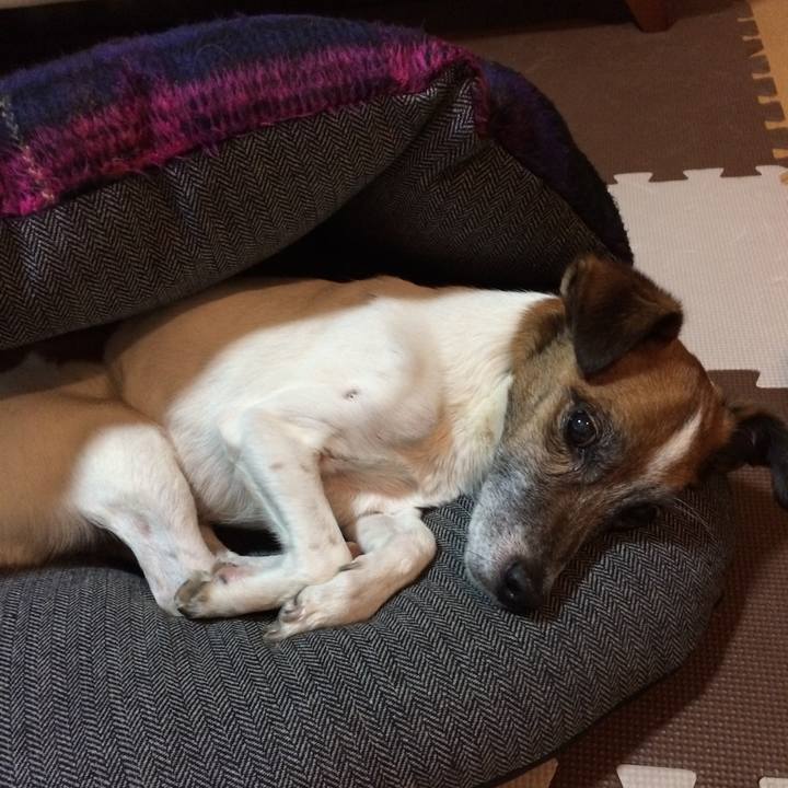 43bc3210 ce27 43b5 bf24 6f2846dcd984