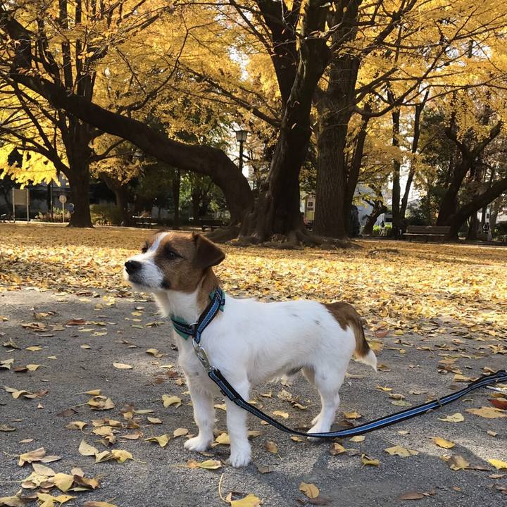 43bcf3f3 9be9 463a 88b7 9dd2698056f6